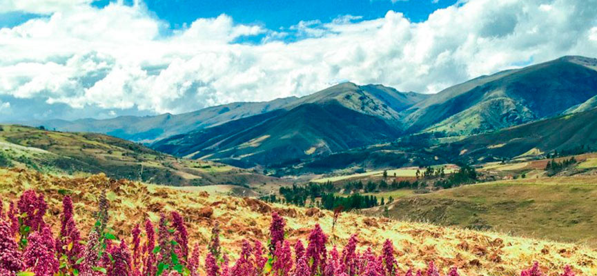 estación ideal para viajar a Perú